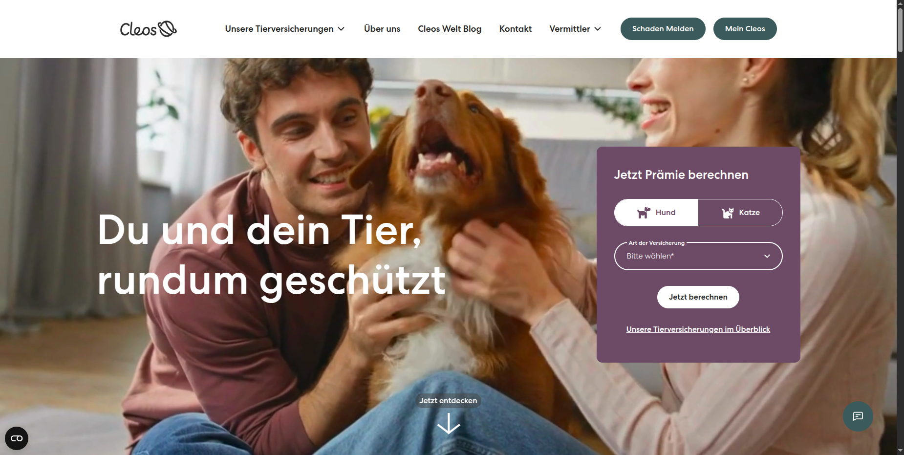 Cleos.de-project.images